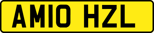 AM10HZL