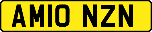 AM10NZN