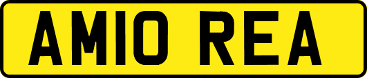 AM10REA