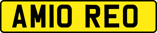 AM10REO
