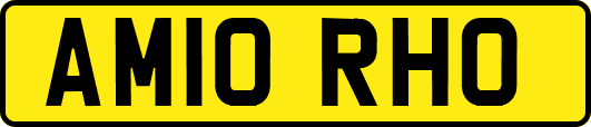 AM10RHO