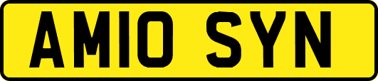 AM10SYN