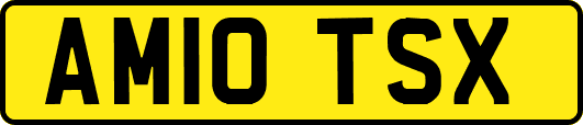 AM10TSX