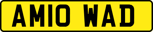 AM10WAD