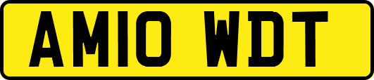 AM10WDT