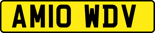 AM10WDV