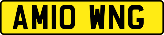 AM10WNG