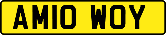 AM10WOY