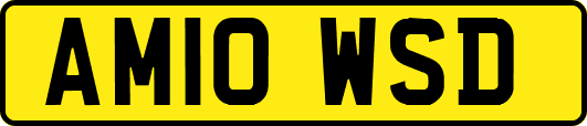 AM10WSD