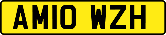AM10WZH