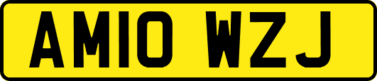 AM10WZJ