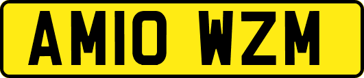 AM10WZM