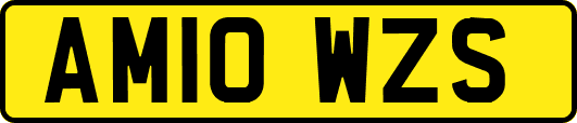 AM10WZS