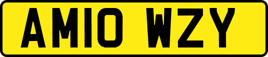 AM10WZY