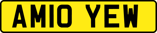 AM10YEW