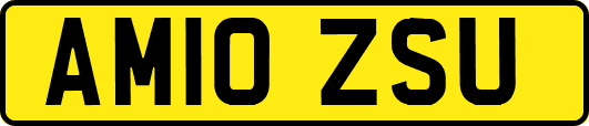 AM10ZSU
