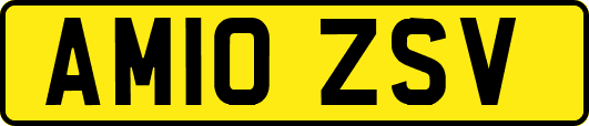 AM10ZSV