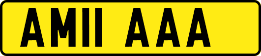 AM11AAA