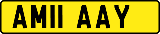 AM11AAY