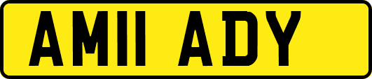 AM11ADY