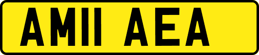 AM11AEA