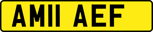 AM11AEF