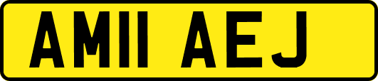 AM11AEJ