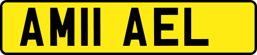 AM11AEL
