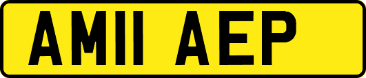 AM11AEP