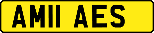 AM11AES