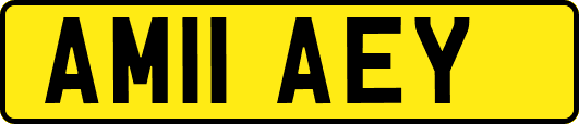 AM11AEY