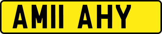 AM11AHY
