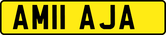AM11AJA