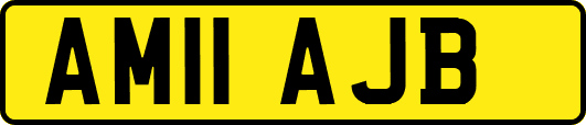 AM11AJB