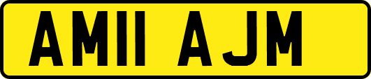 AM11AJM