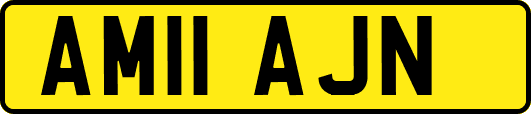 AM11AJN