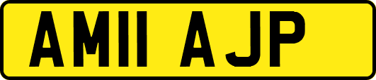 AM11AJP