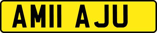 AM11AJU