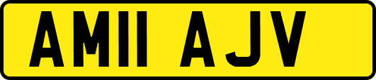 AM11AJV