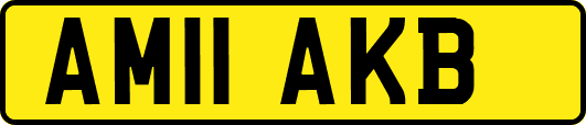 AM11AKB