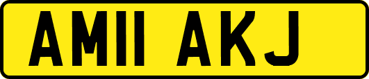 AM11AKJ