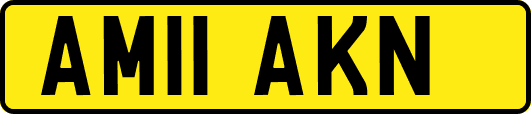 AM11AKN
