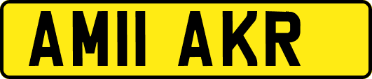 AM11AKR