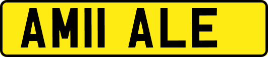 AM11ALE