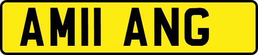 AM11ANG