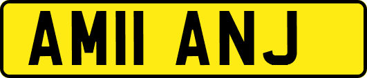 AM11ANJ