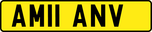 AM11ANV