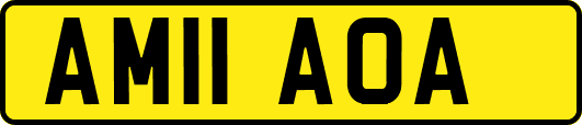 AM11AOA