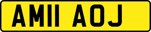 AM11AOJ