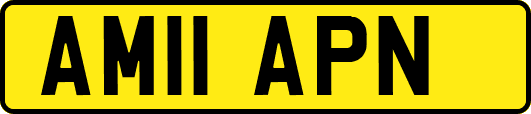 AM11APN